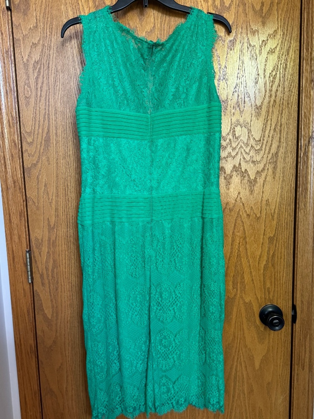 Beautiful Tadashi Shoji Lace Semi-Formal Dress - Picture 2 of 2